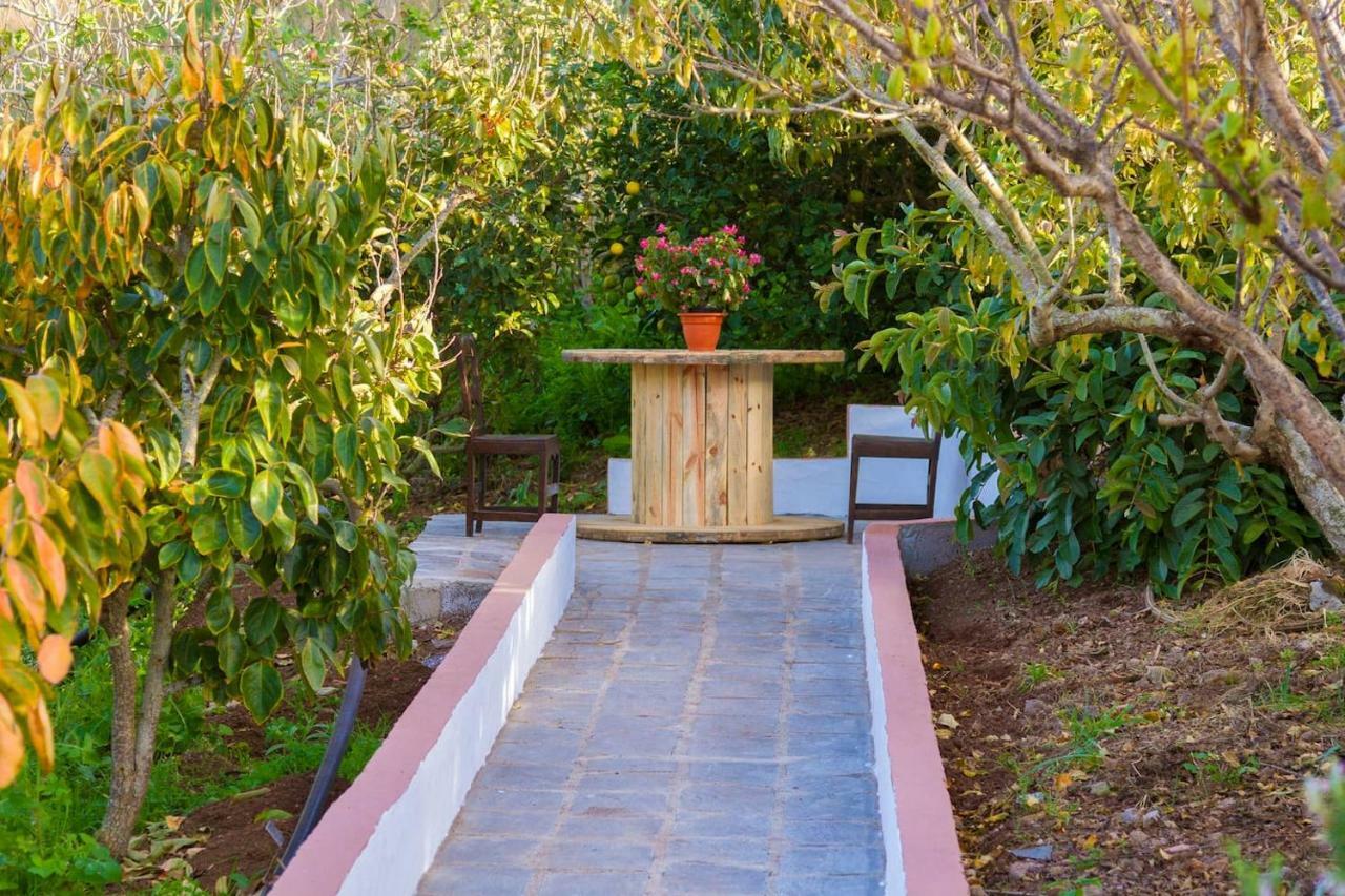 Casa Cueva Villa Aday Santa Maria de Guia de Gran Canaria Экстерьер фото