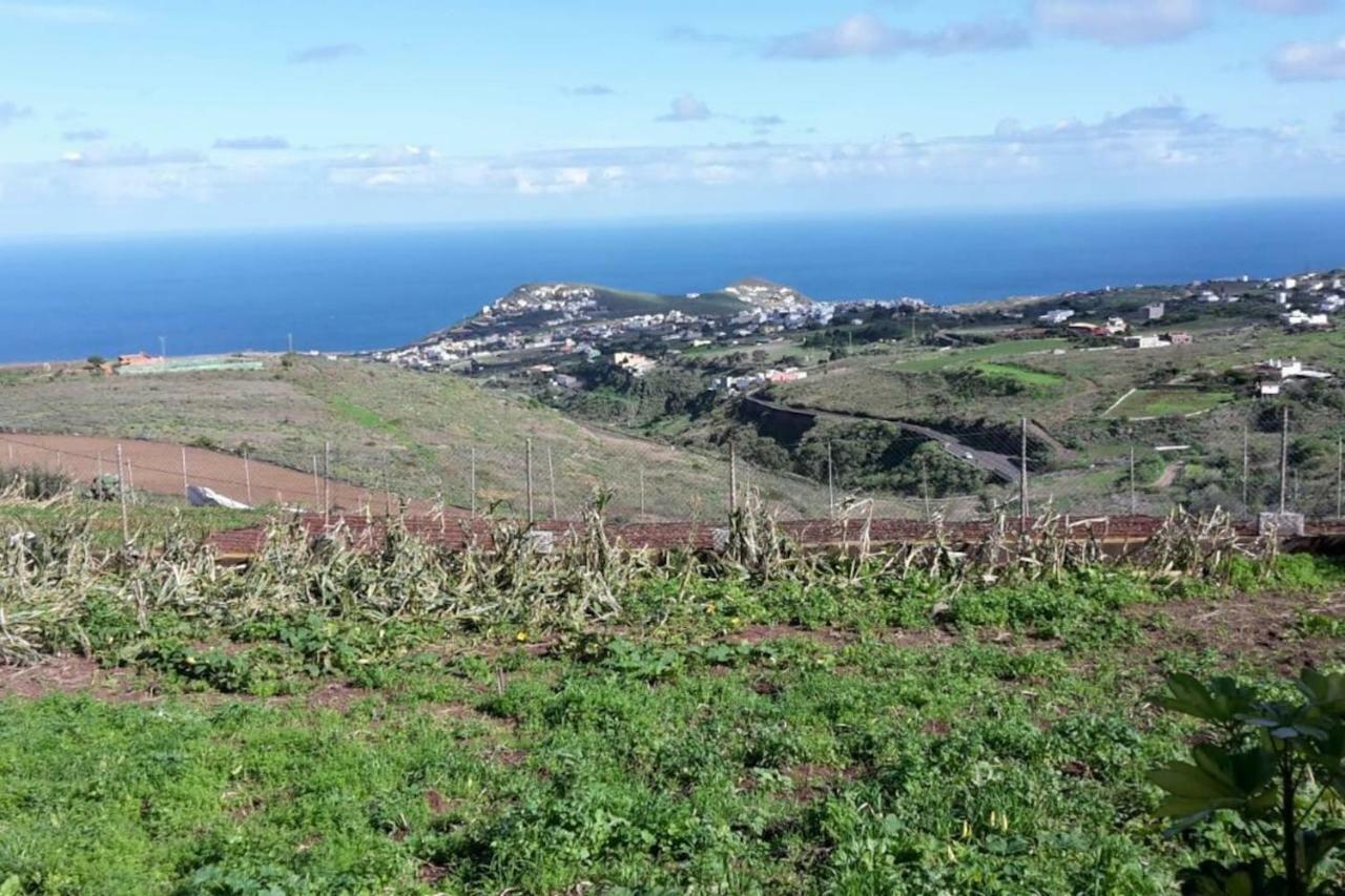 Casa Cueva Villa Aday Santa Maria de Guia de Gran Canaria Экстерьер фото