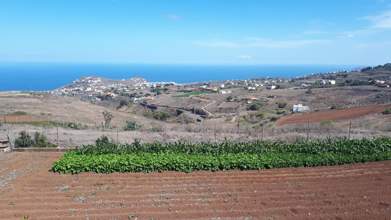 Casa Cueva Villa Aday Santa Maria de Guia de Gran Canaria Экстерьер фото