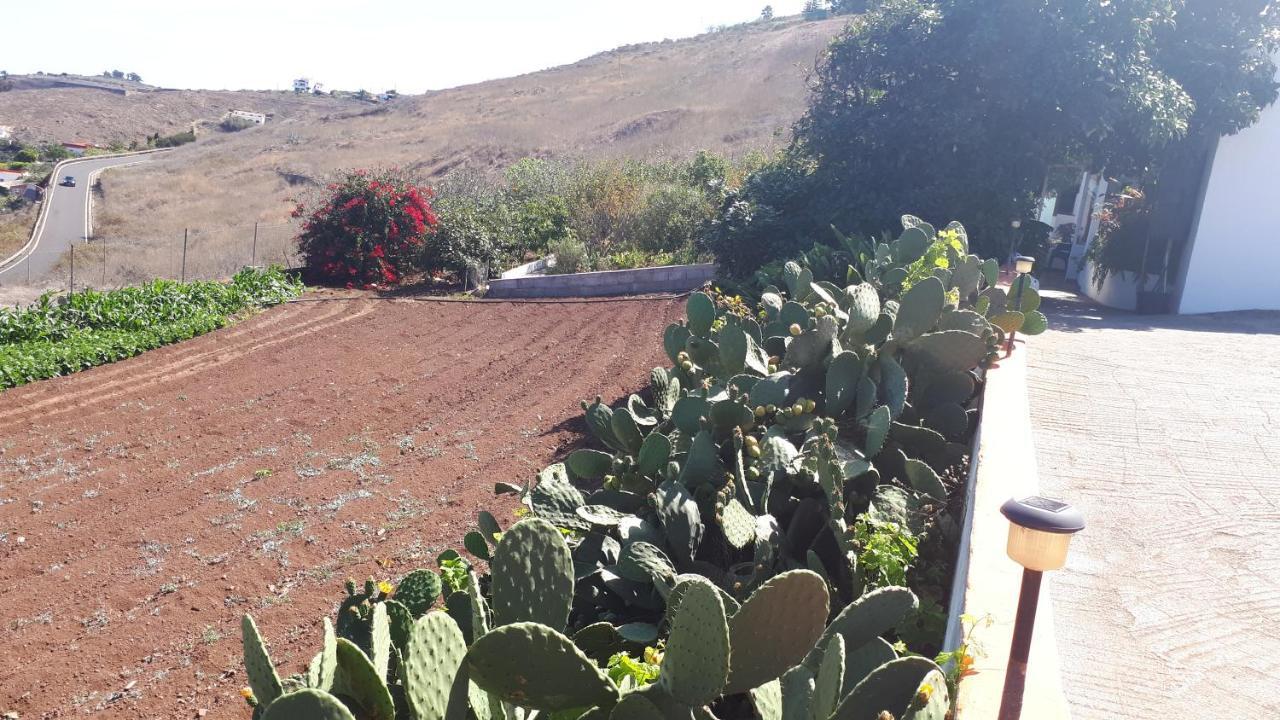 Casa Cueva Villa Aday Santa Maria de Guia de Gran Canaria Экстерьер фото